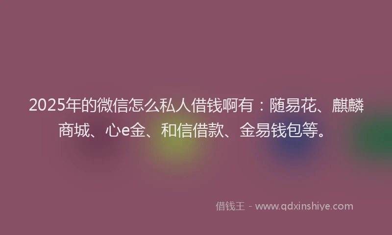 2025年的微信怎么私人借钱啊有：随易花、麒麟商城、心e金、和信借款、金易钱包等。