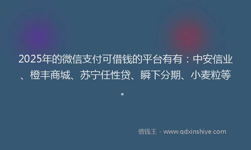2025年的微信支付可借钱的平台有有：中安信业、橙丰商城、苏宁任性贷、瞬下分期、小麦粒等。