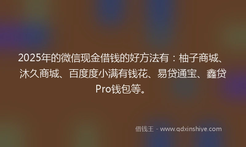 2025年的微信现金借钱的好方法有：柚子商城、沐久商城、百度度小满有钱花、易贷通宝、鑫贷Pro钱包等。
