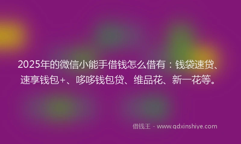 2025年的微信小能手借钱怎么借有：钱袋速贷、速享钱包+、哆哆钱包贷、维品花、新一花等。