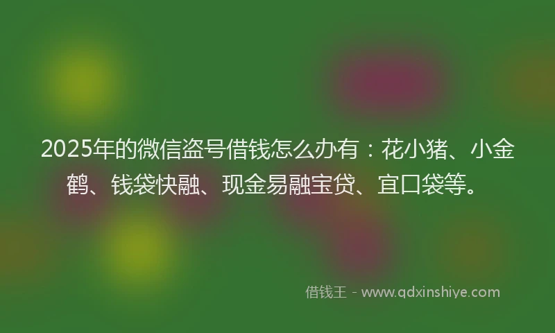 2025年的微信盗号借钱怎么办有：花小猪、小金鹤、钱袋快融、现金易融宝贷、宜口袋等。
