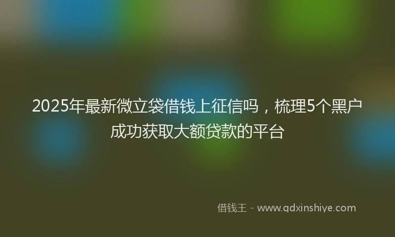2025年最新微立袋借钱上征信吗，梳理5个黑户成功获取大额贷款的平台