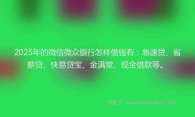 2025年的微信微众银行怎样借钱有：急速贷、省薪贷、快易贷宝、金满堂、现金借款等。