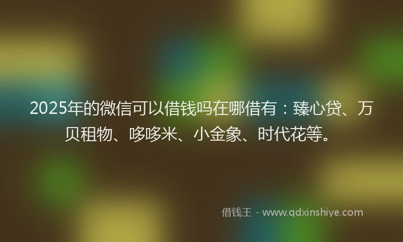 2025年的微信可以借钱吗在哪借有：臻心贷、万贝租物、哆哆米、小金象、时代花等。