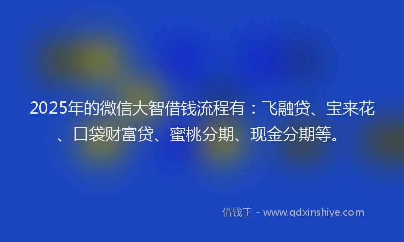 2025年的微信大智借钱流程有：飞融贷、宝来花、口袋财富贷、蜜桃分期、现金分期等。