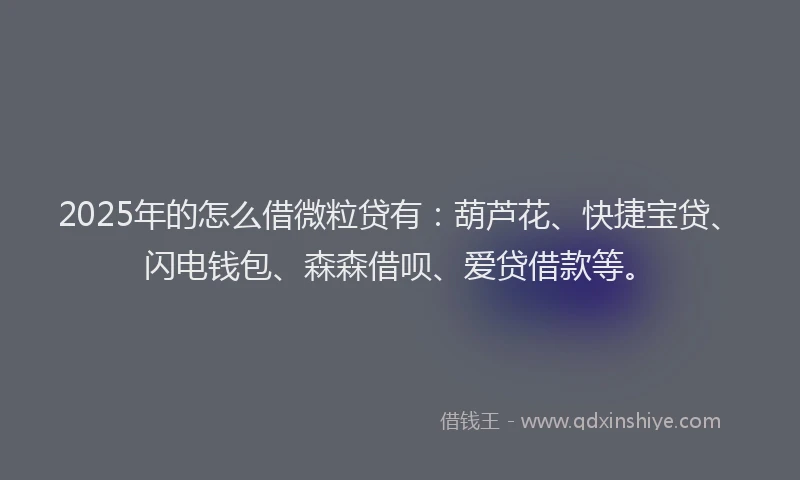2025年的怎么借微粒贷有：葫芦花、快捷宝贷、闪电钱包、森森借呗、爱贷借款等。