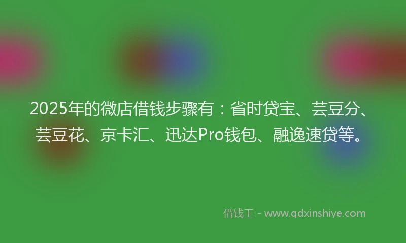 2025年的微店借钱步骤有：省时贷宝、芸豆分、芸豆花、京卡汇、迅达Pro钱包、融逸速贷等。