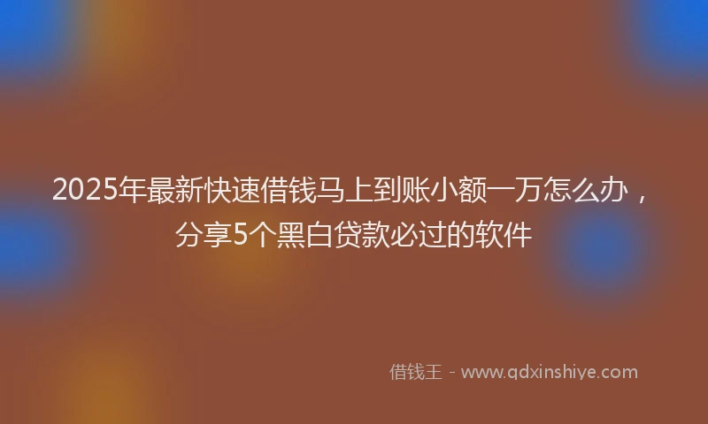 2025年最新快速借钱马上到账小额一万怎么办，分享5个黑白贷款必过的软件