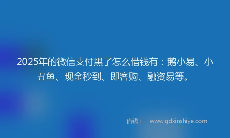 2025年的微信支付黑了怎么借钱有：鹅小易、小丑鱼、现金秒到、即客购、融资易等。