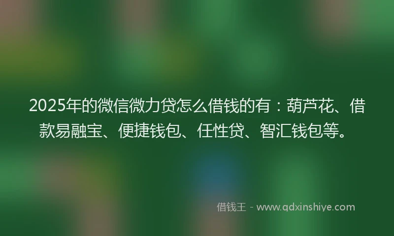 2025年的微信微力贷怎么借钱的有：葫芦花、借款易融宝、便捷钱包、任性贷、智汇钱包等。