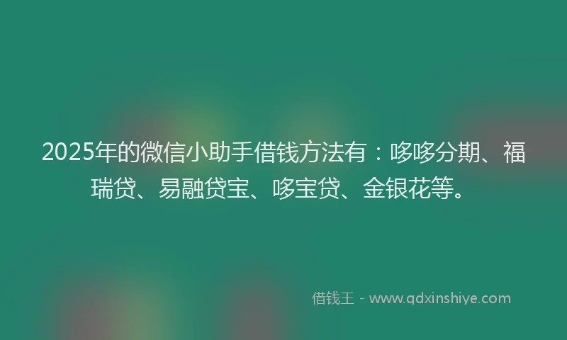 2025年的微信小助手借钱方法有：哆哆分期、福瑞贷、易融贷宝、哆宝贷、金银花等。