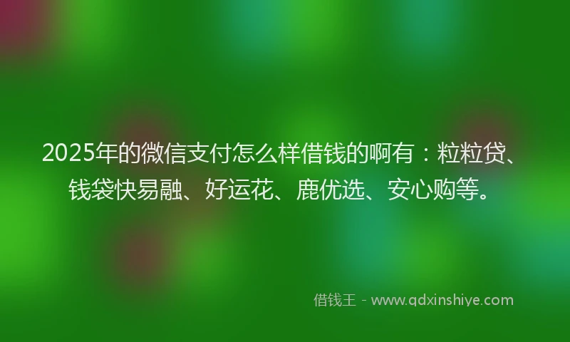 2025年的微信支付怎么样借钱的啊有：粒粒贷、钱袋快易融、好运花、鹿优选、安心购等。