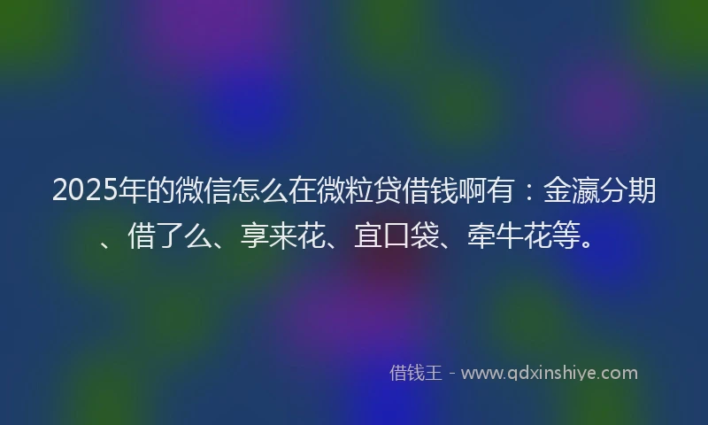 2025年的微信怎么在微粒贷借钱啊有：金瀛分期、借了么、享来花、宜口袋、牵牛花等。