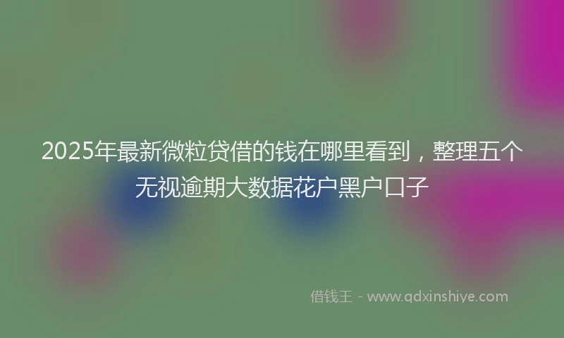 2025年最新微粒贷借的钱在哪里看到，整理五个无视逾期大数据花户黑户口子