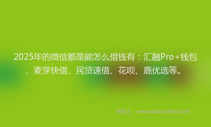 2025年的微信都是能怎么借钱有：汇融Pro+钱包、麦芽快借、民贷速借、花呗、鹿优选等。