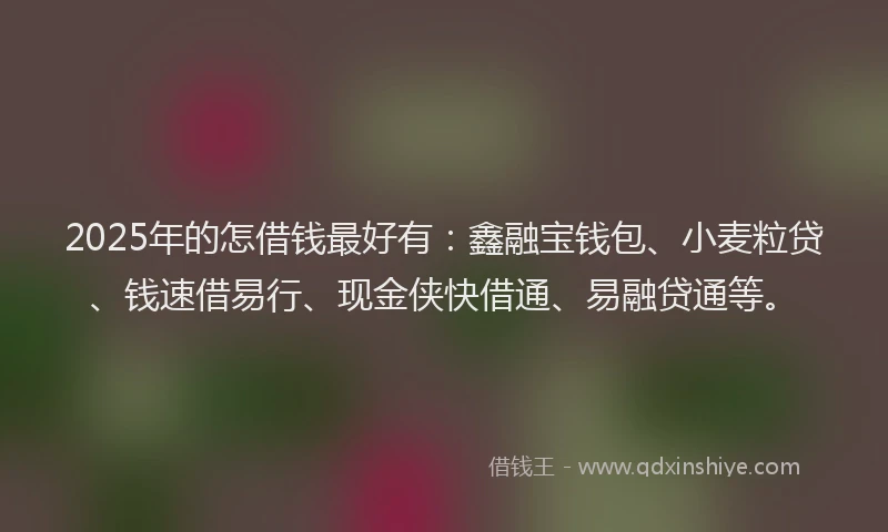 2025年的怎借钱最好有：鑫融宝钱包、小麦粒贷、钱速借易行、现金侠快借通、易融贷通等。