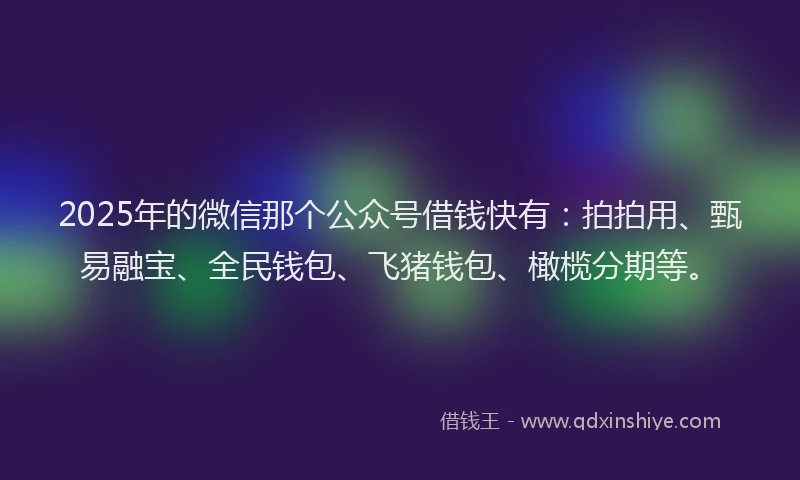 2025年的微信那个公众号借钱快有：拍拍用、甄易融宝、全民钱包、飞猪钱包、橄榄分期等。