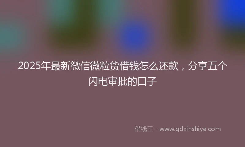 2025年最新微信微粒货借钱怎么还款，分享五个闪电审批的口子