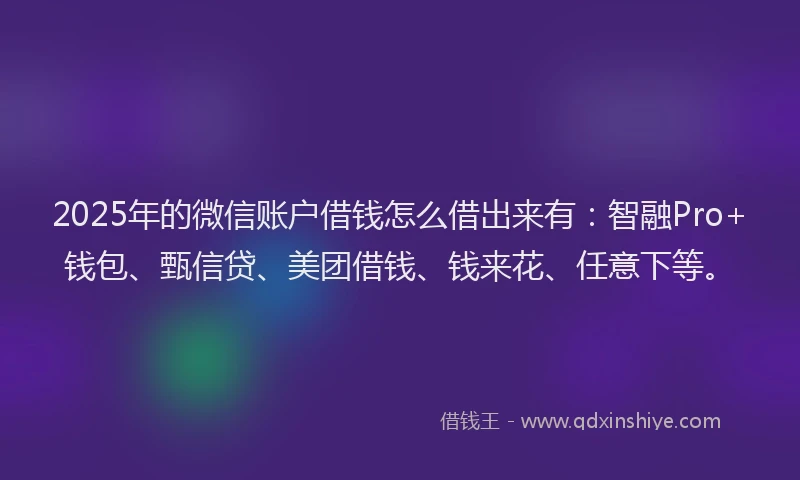 2025年的微信账户借钱怎么借出来有：智融Pro+钱包、甄信贷、美团借钱、钱来花、任意下等。