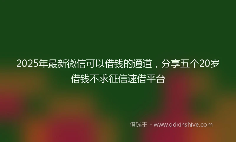 2025年最新微信可以借钱的通道，分享五个20岁借钱不求征信速借平台
