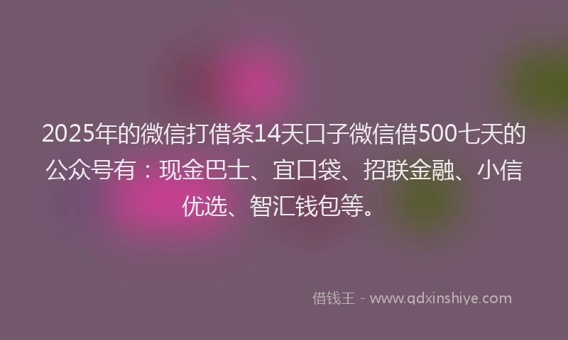 2025年的微信打借条14天口子微信借500七天的公众号有：现金巴士、宜口袋、招联金融、小信优选、智汇钱包等。