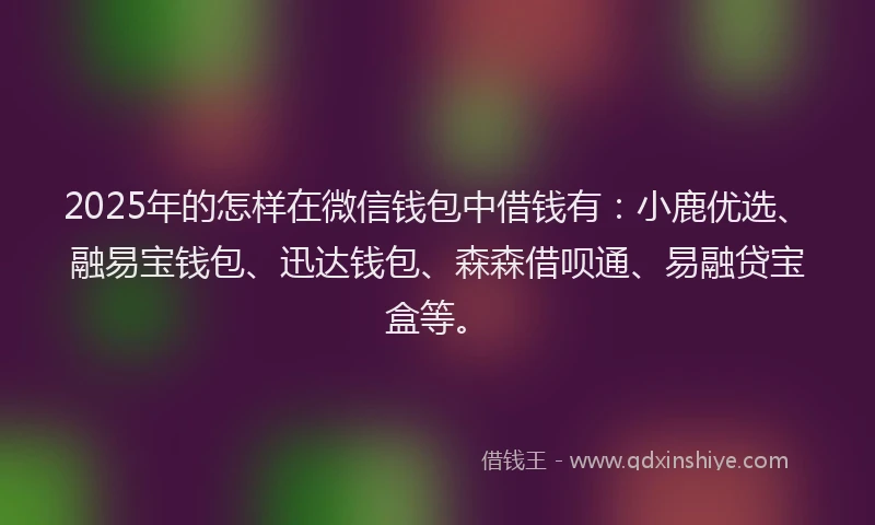 2025年的怎样在微信钱包中借钱有：小鹿优选、融易宝钱包、迅达钱包、森森借呗通、易融贷宝盒等。