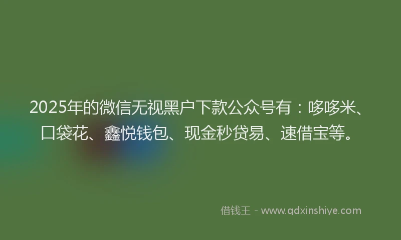 2025年的微信无视黑户下款公众号有：哆哆米、口袋花、鑫悦钱包、现金秒贷易、速借宝等。