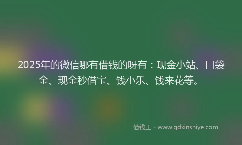 2025年的微信哪有借钱的呀有：现金小站、口袋金、现金秒借宝、钱小乐、钱来花等。