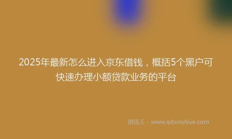 2025年最新怎么进入京东借钱，概括5个黑户可快速办理小额贷款业务的平台