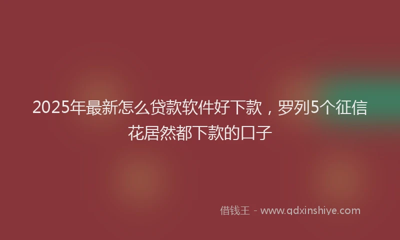2025年最新怎么贷款软件好下款，罗列5个征信花居然都下款的口子