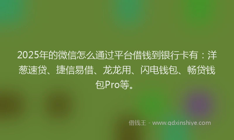 2025年的微信怎么通过平台借钱到银行卡有：洋葱速贷、捷信易借、龙龙用、闪电钱包、畅贷钱包Pro等。