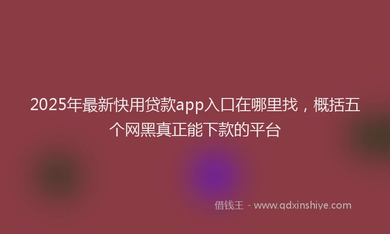 2025年最新快用贷款app入口在哪里找，概括五个网黑真正能下款的平台