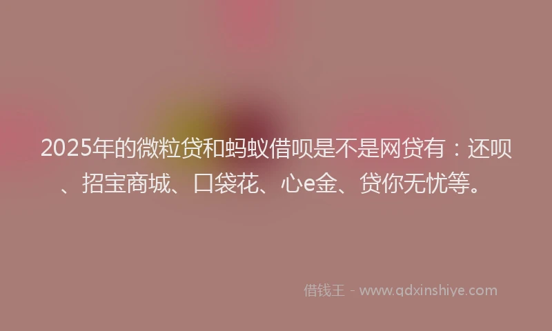 2025年的微粒贷和蚂蚁借呗是不是网贷有：还呗、招宝商城、口袋花、心e金、贷你无忧等。