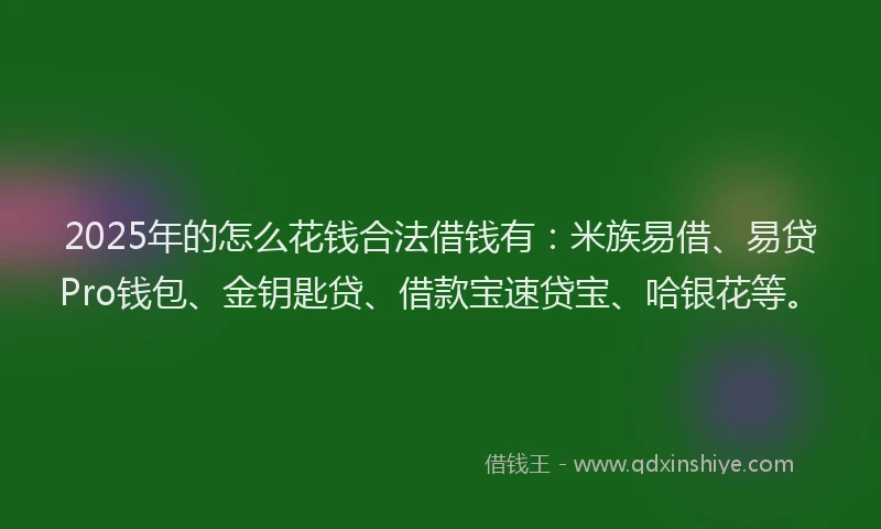2025年的怎么花钱合法借钱有：米族易借、易贷Pro钱包、金钥匙贷、借款宝速贷宝、哈银花等。