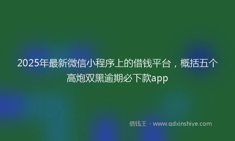 2025年最新微信小程序上的借钱平台，概括五个高炮双黑逾期必下款app