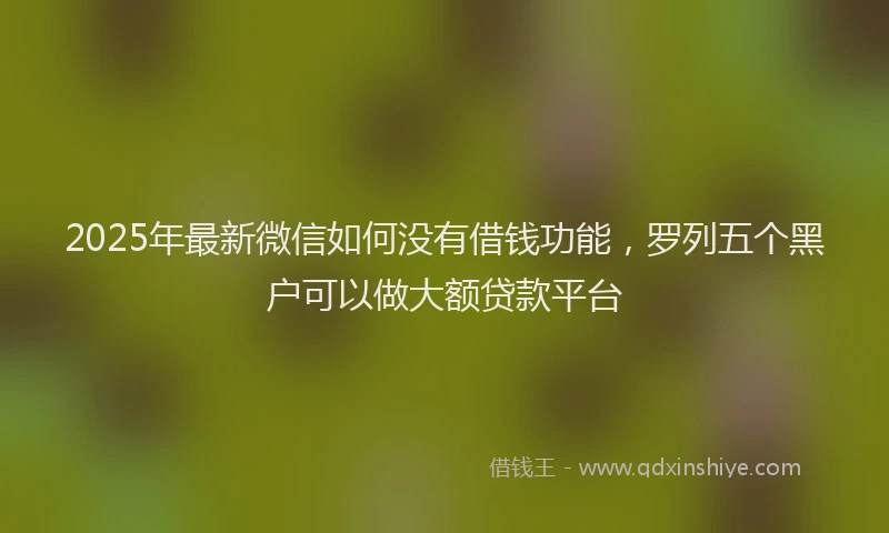2025年最新微信如何没有借钱功能，罗列五个黑户可以做大额贷款平台