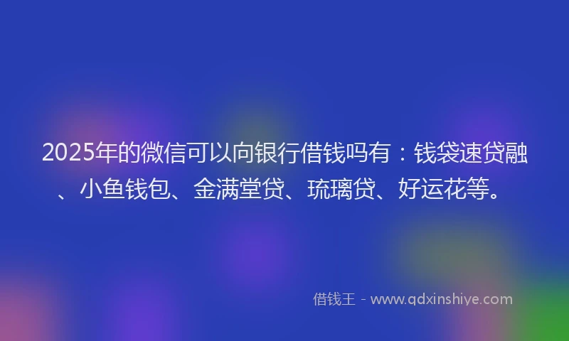 2025年的微信可以向银行借钱吗有：钱袋速贷融、小鱼钱包、金满堂贷、琉璃贷、好运花等。