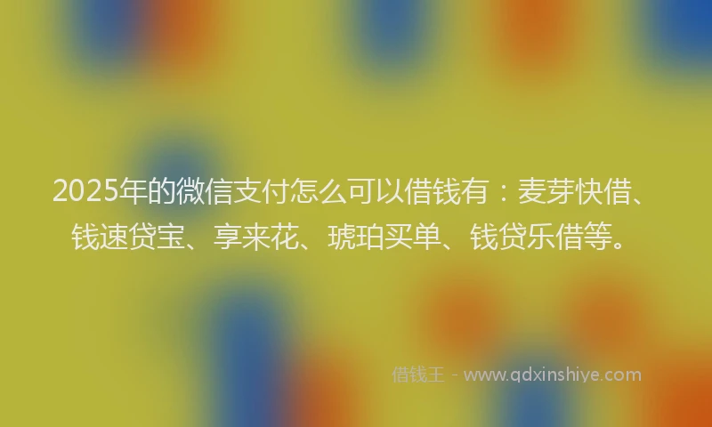 2025年的微信支付怎么可以借钱有：麦芽快借、钱速贷宝、享来花、琥珀买单、钱贷乐借等。