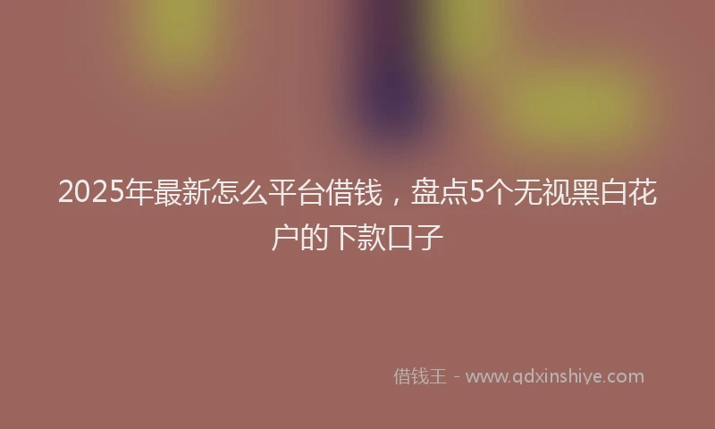 2025年最新怎么平台借钱，盘点5个无视黑白花户的下款口子
