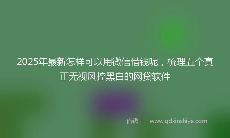2025年最新怎样可以用微信借钱呢，梳理五个真正无视风控黑白的网贷软件