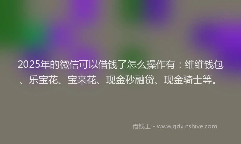 2025年的微信可以借钱了怎么操作有：维维钱包、乐宝花、宝来花、现金秒融贷、现金骑士等。