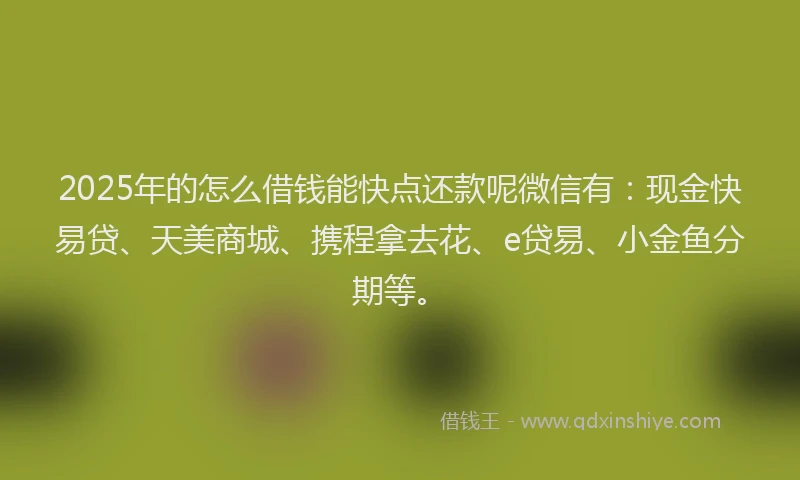 2025年的怎么借钱能快点还款呢微信有：现金快易贷、天美商城、携程拿去花、e贷易、小金鱼分期等。