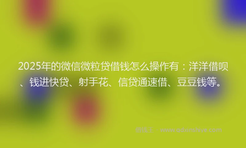 2025年的微信微粒贷借钱怎么操作有：洋洋借呗、钱进快贷、射手花、信贷通速借、豆豆钱等。