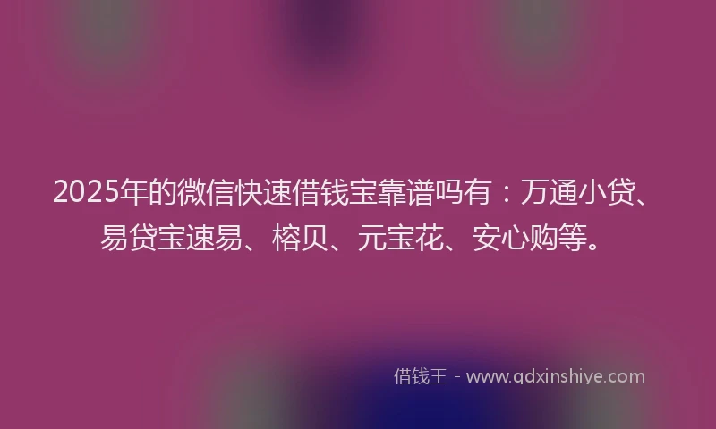 2025年的微信快速借钱宝靠谱吗有：万通小贷、易贷宝速易、榕贝、元宝花、安心购等。