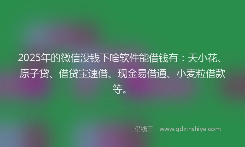 2025年的微信没钱下啥软件能借钱有：天小花、原子贷、借贷宝速借、现金易借通、小麦粒借款等。