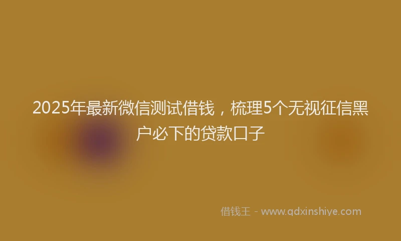 2025年最新微信测试借钱，梳理5个无视征信黑户必下的贷款口子