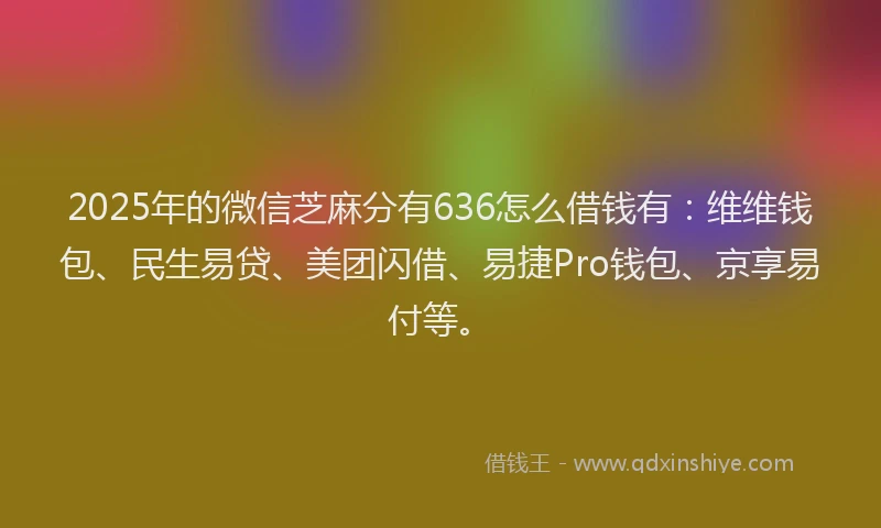 2025年的微信芝麻分有636怎么借钱有：维维钱包、民生易贷、美团闪借、易捷Pro钱包、京享易付等。