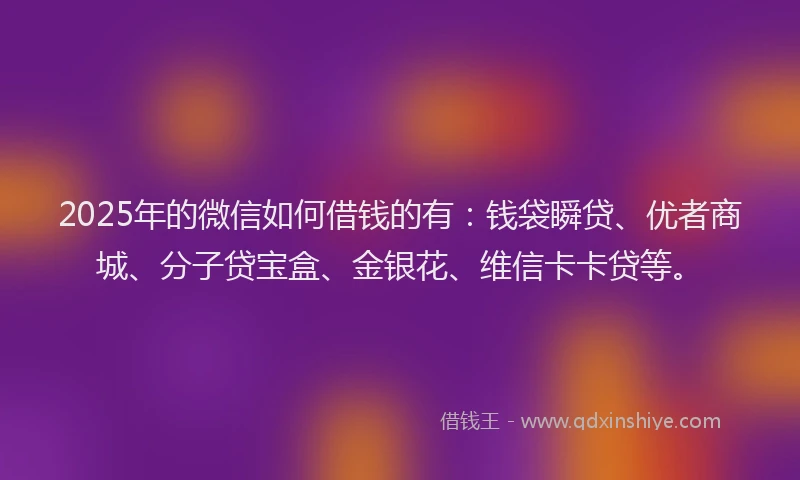 2025年的微信如何借钱的有：钱袋瞬贷、优者商城、分子贷宝盒、金银花、维信卡卡贷等。