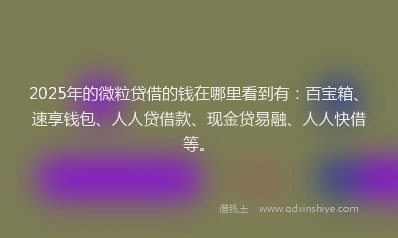 2025年的微粒贷借的钱在哪里看到有：百宝箱、速享钱包、人人贷借款、现金贷易融、人人快借等。
