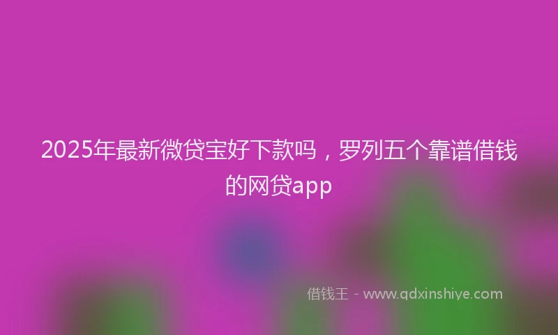 2025年最新微贷宝好下款吗，罗列五个靠谱借钱的网贷app